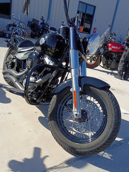 Harley-Davidson after stage 2 paint correction and metal restoration, photo 3